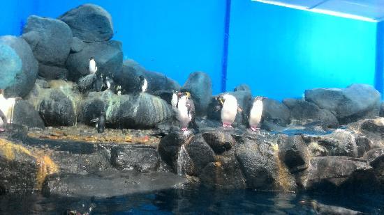 Underwater World Langkawi